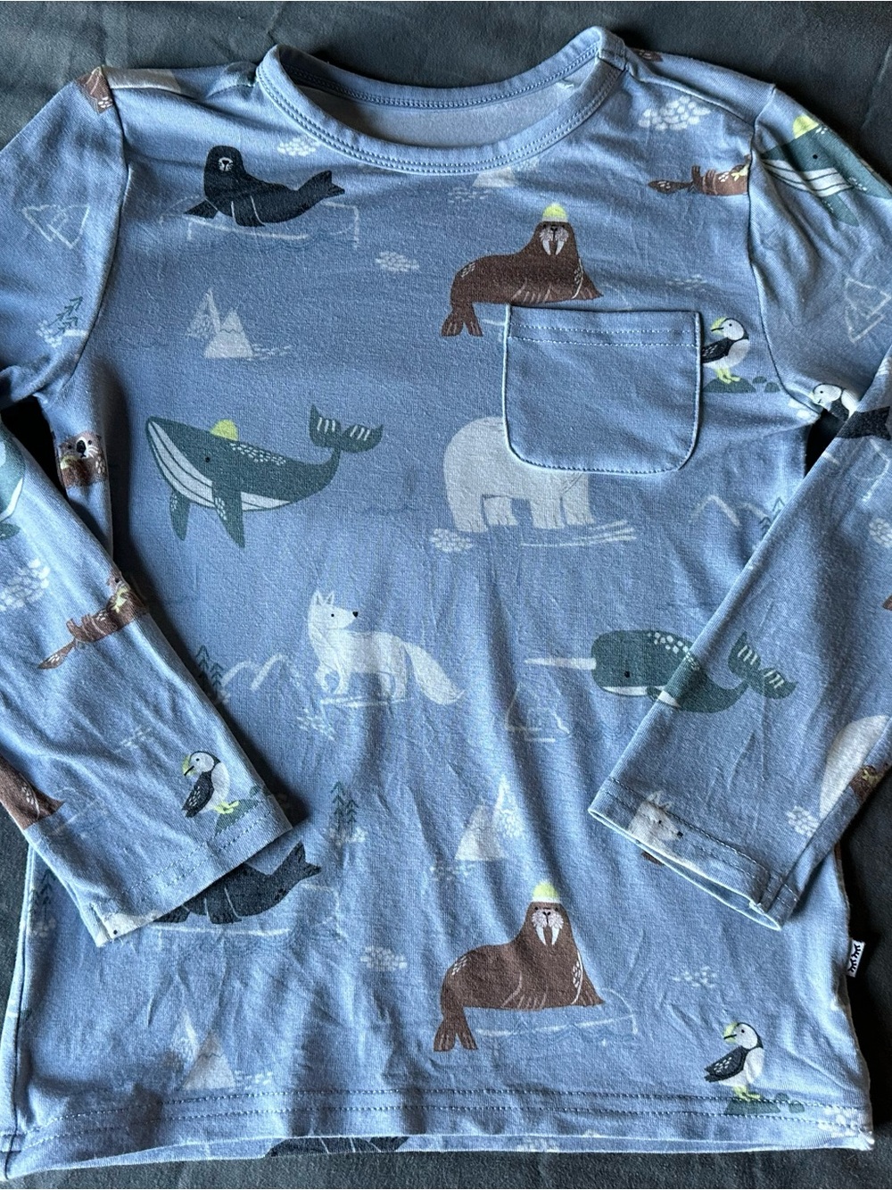 Little Sleepies Light Blue Arctic Animal Print Long Sleeve Top